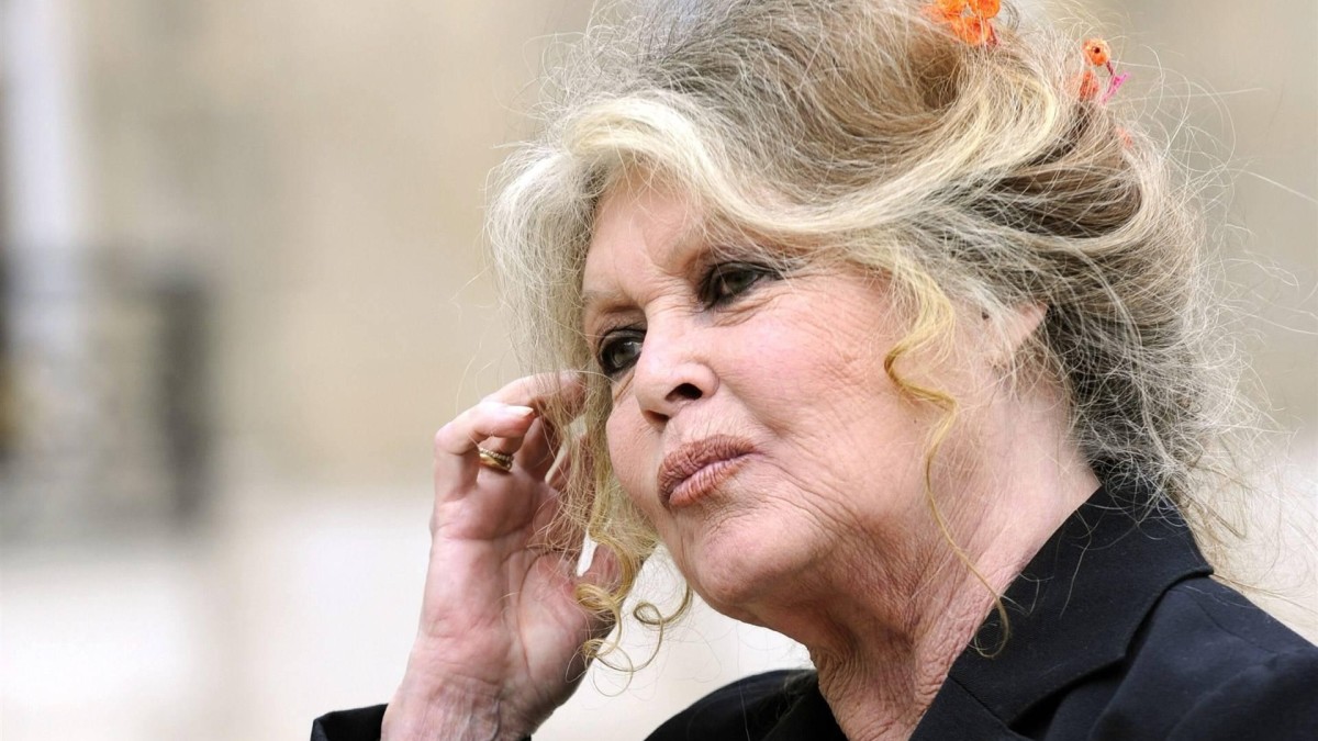 Brigitte Bardot anp importer niet herbruikbaar